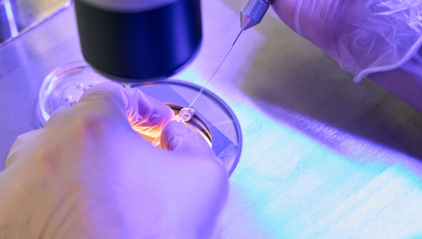 Closeup of a petri dish for Kingwood IVF